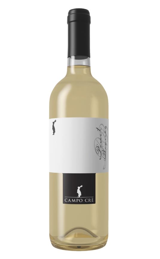 Pinot Bianco IGT Marca Trevigiana Casa Baccichetto