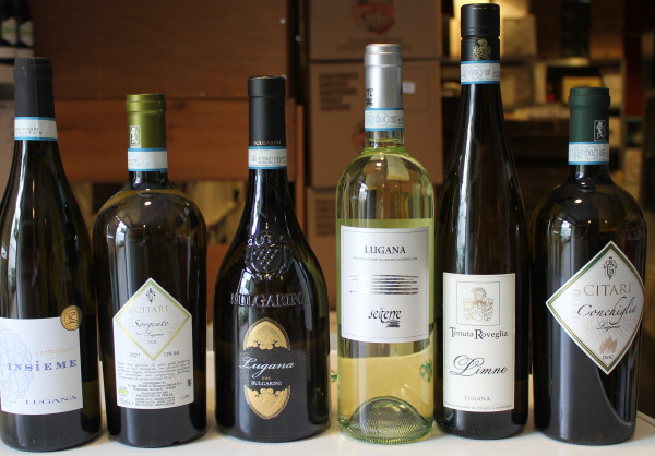 6er Wein Probierpaket Lugana bestehend aus 6 Sorten trockener Weißweine 6x0,75L